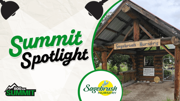 CKOR - Summit Spotlight - Sagebrush Nursery